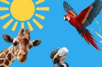 Quoi faire ce weekend en Estrie ?